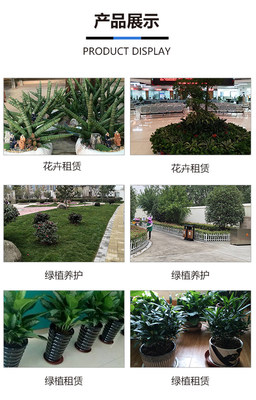 合肥绿化养护与园林绿化工程 如何选择服务优质的专业团队