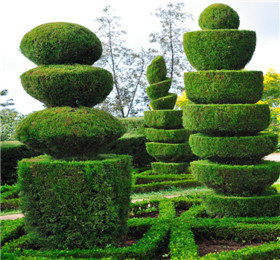 洛阳天鑫园林绿化工程详情、价格及图片信息