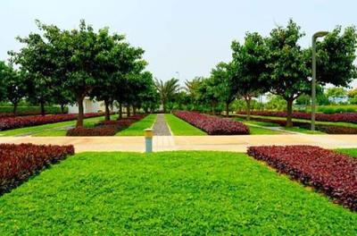 《广东省园林绿化工程综合定额（2018）》解读 规范市场、指导实践的行业基石