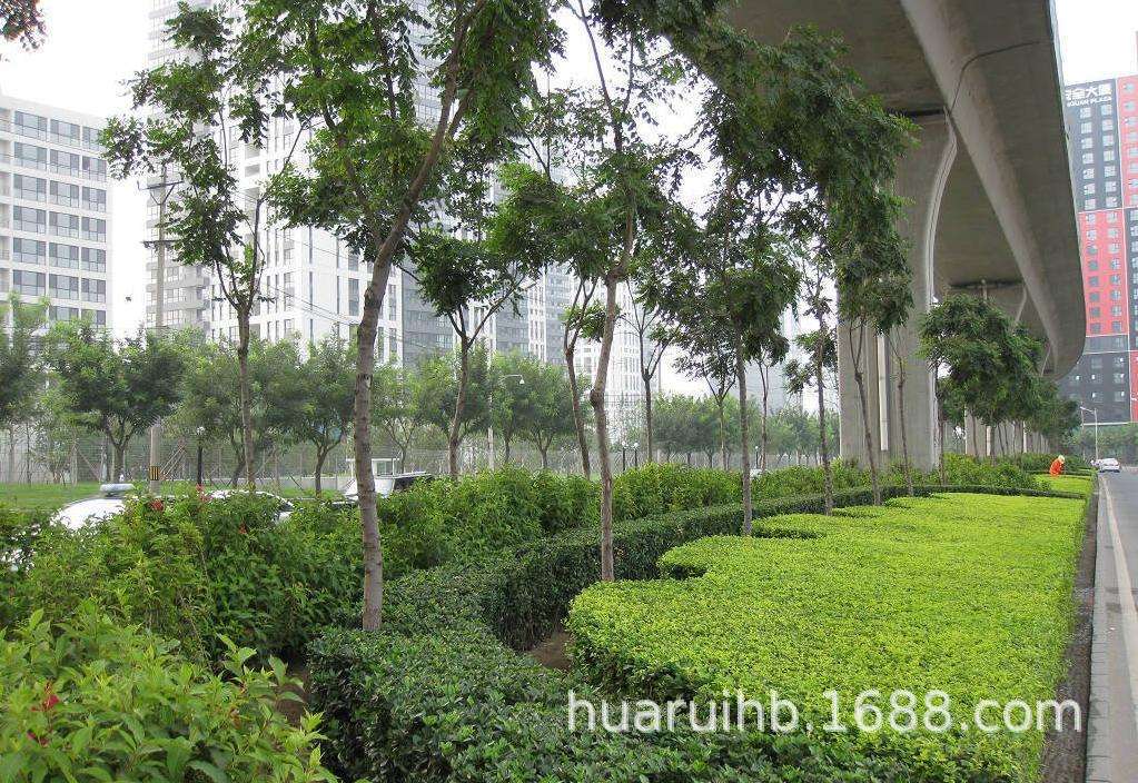 东莞市园林绿化养护与工程服务全解析