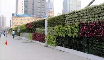 园林工程中的6种垂直绿化形式及其应用