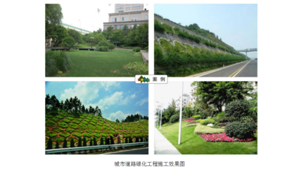 庆阳金陵园林绿化工程 打造城市生态绿肺的艺术与科技融合