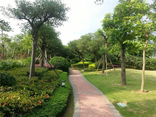 园林养护指南 从专业手册到高清视觉的全面指引