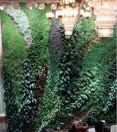 园林工程中的六种垂直绿化形式及其应用